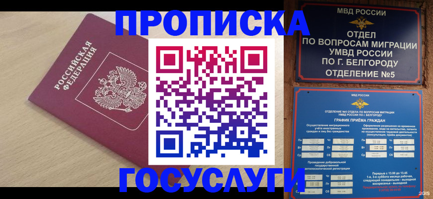 прописка законно в Тереке
